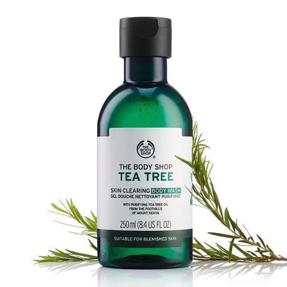 Sabun The Body Shop Tea Tree Body Wash Untuk Jerawat Punggung dan Dada