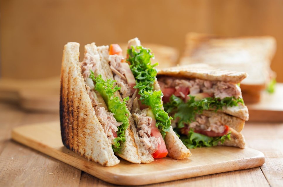 Ciri dan Karakteristik Sandwich